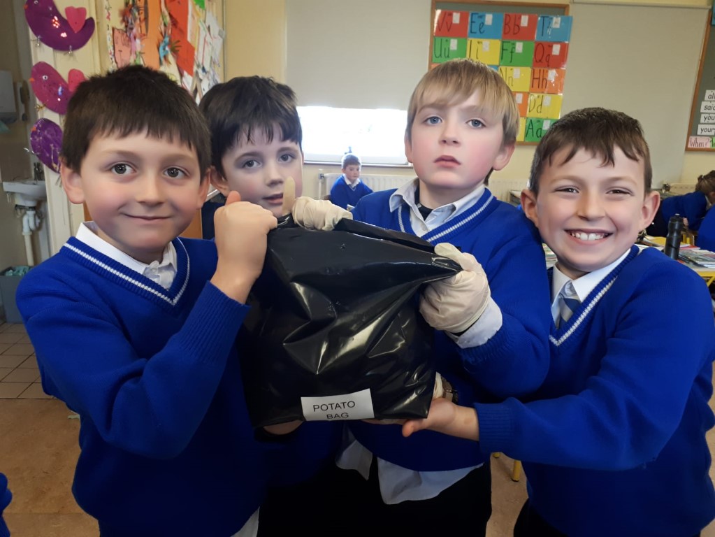 Sowing seeds with Mrs. Butler! - Scoil Naisiunta Sliabh a' Mhadra